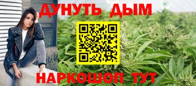 дмт Славгород